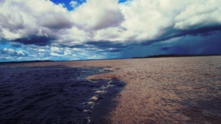 amazon river